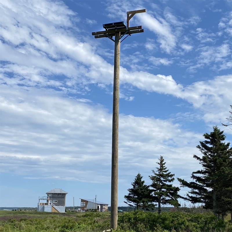 First Home at Blackbush :)