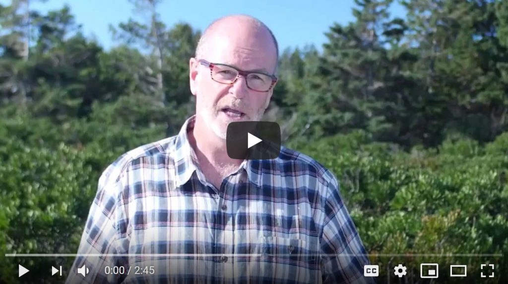 Nature Stories: Tim Banks