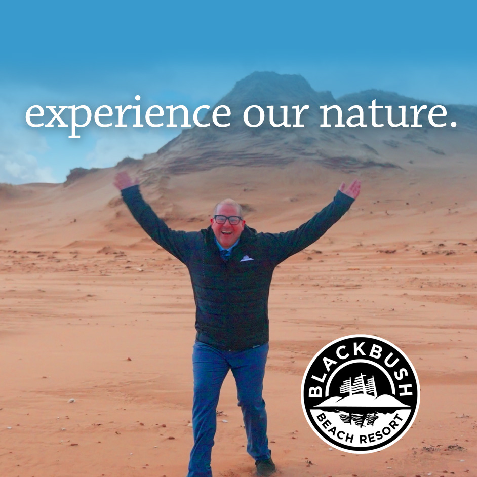 Introducing the Blackbush Guest Experience Manager - Ian Cheverie