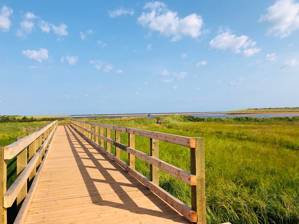 Blackbush-boardwalk-to-the-beach---gallery